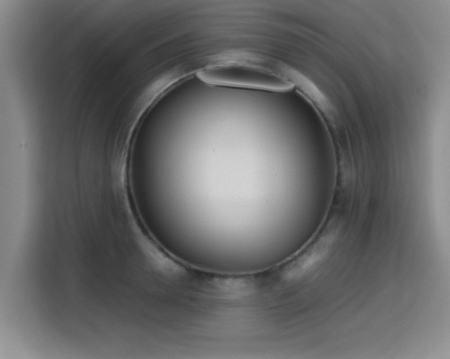 X0000115820946200911201442