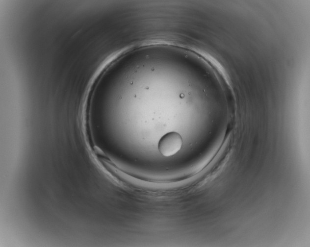 X0000115820949200911201442