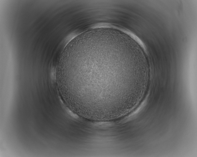 X0000115820953200911201442