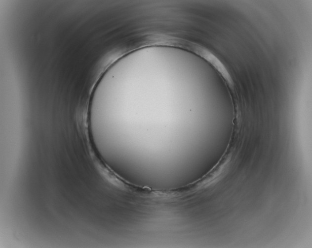 X0000115820954200911201442