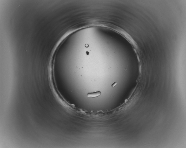 X0000115820955200911201442