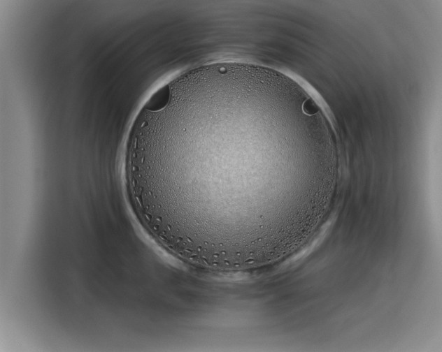 X0000115820957200911201442