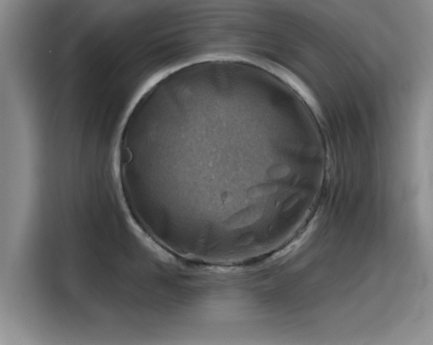 X0000115820958200911201442