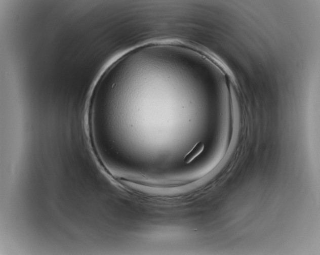 X0000115820959200911201442