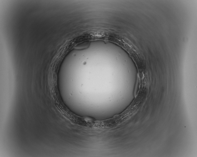 X0000115820961200911201442