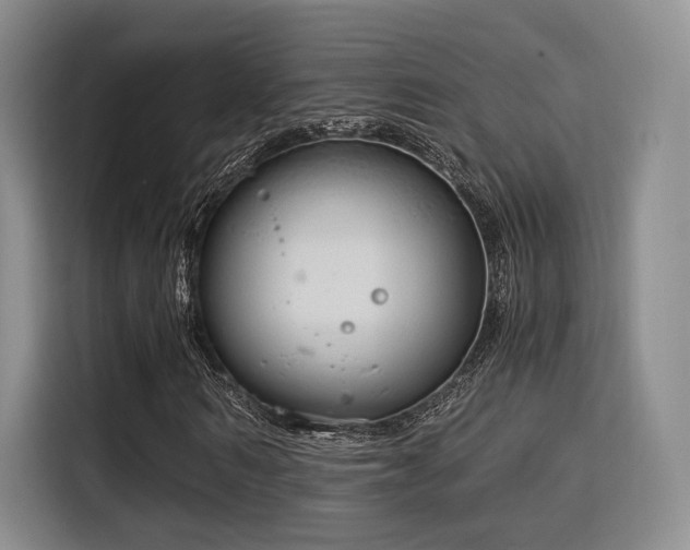 X0000115820962200911201442