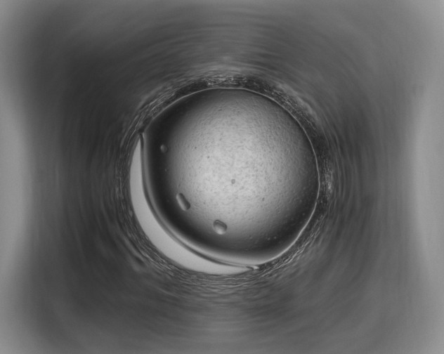 X0000115820964200911201442