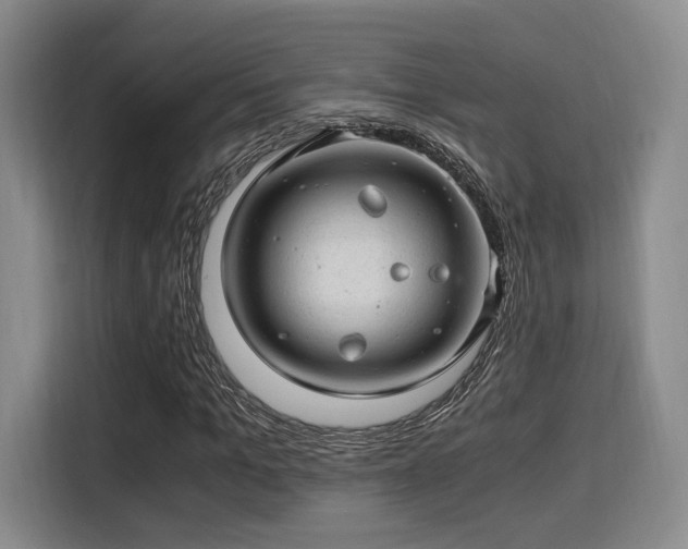 X0000115820965200911201442