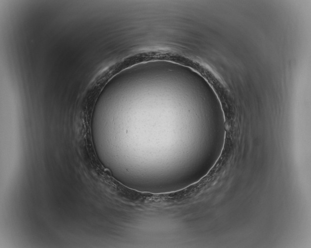 X0000115820967200911201442