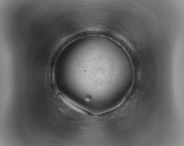 X0000115820968200911201442