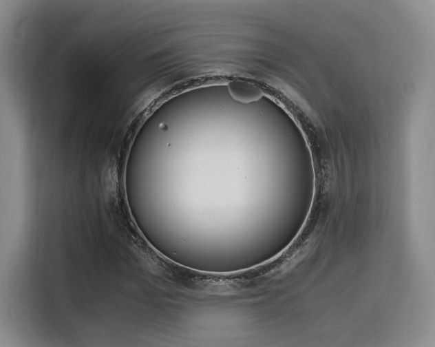 X0000115820969200911201442