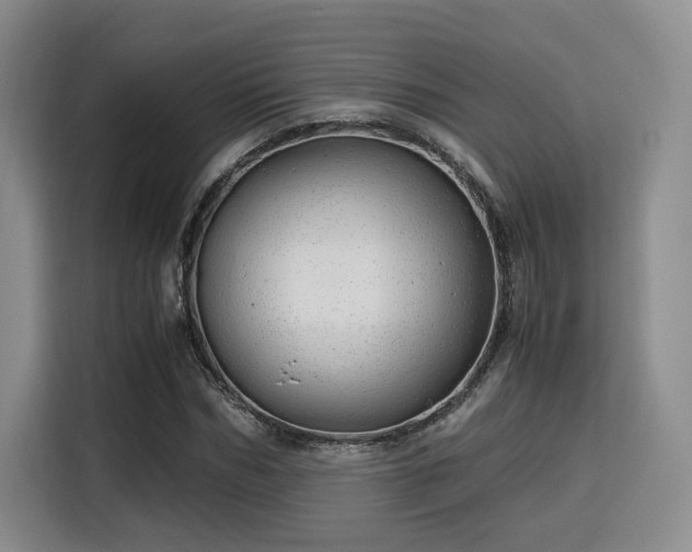 X0000115820970200911201442