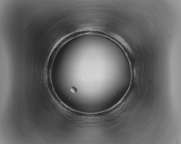 X0000115820972200911201442