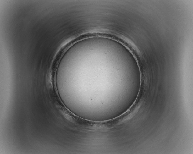 X0000115820974200911201442