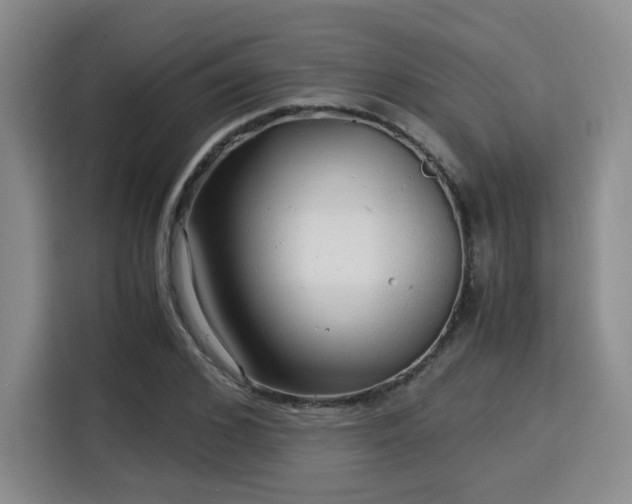 X0000115820976200911201441