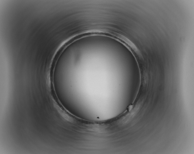 X0000115820980200911201441