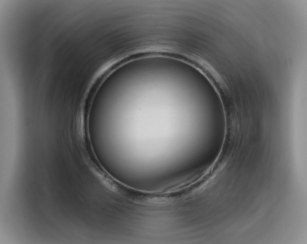 X0000115820982200911201441