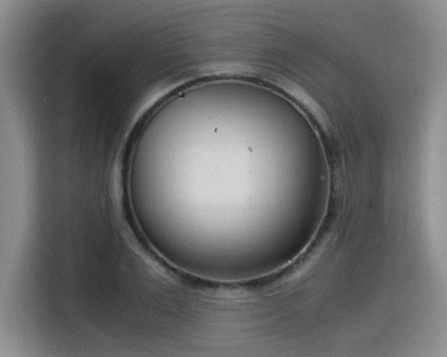 X0000115820983200911201441