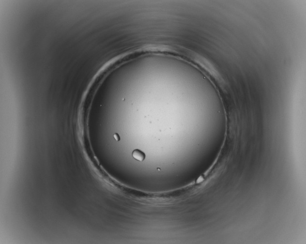 X0000115820984200911201441