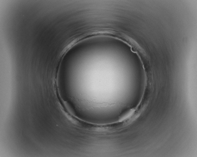 X0000115820985200911201441