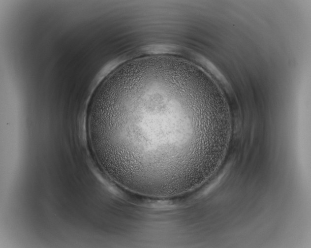 X0000115820986200911201441