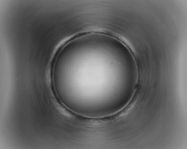 X0000115820987200911201441