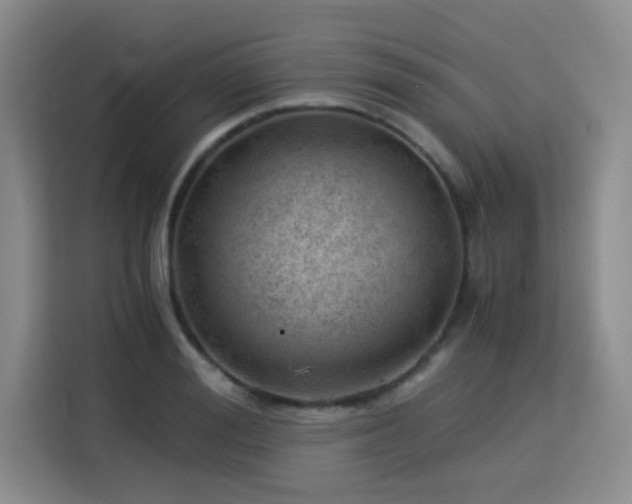 X0000115820988200911201441