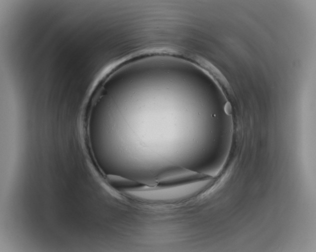 X0000115820989200911201441