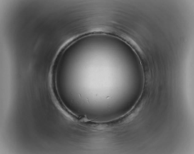 X0000115820991200911201441