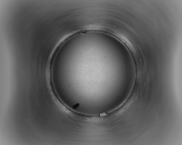 X0000115820992200911201441