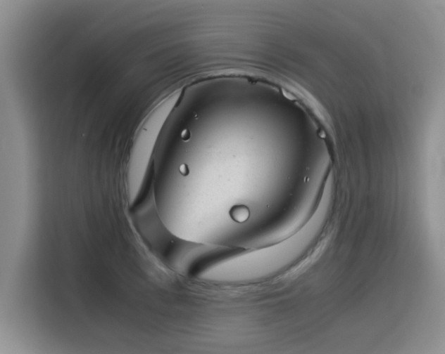 X0000115820993200911201441