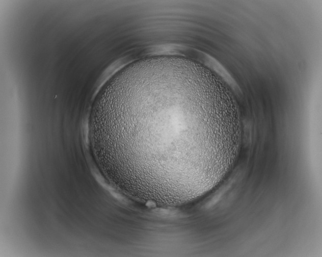 X0000115820994200911201441