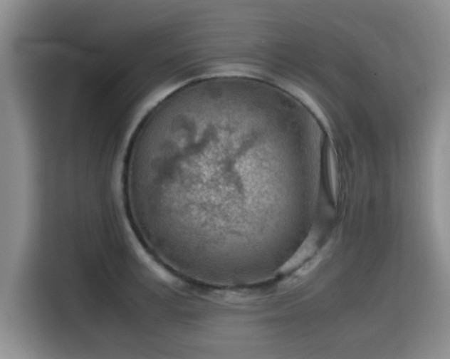 X0000115820995200911201441