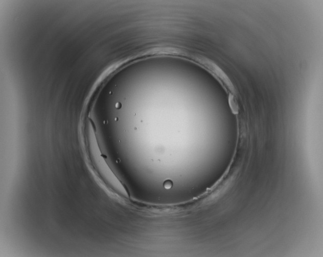 X0000115820997200911201441