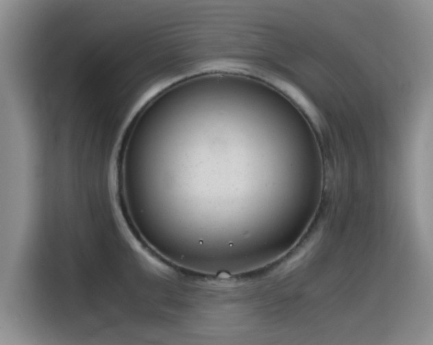 X0000115820999200911201441