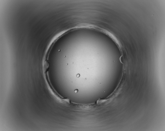 X0000115821003200911201441