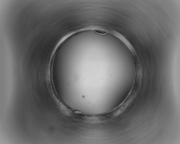 X0000115821004200911201441