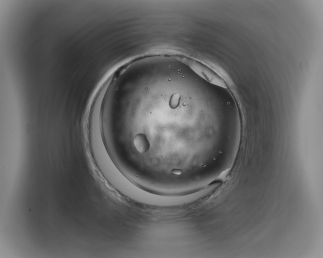 X0000115821008200911201441