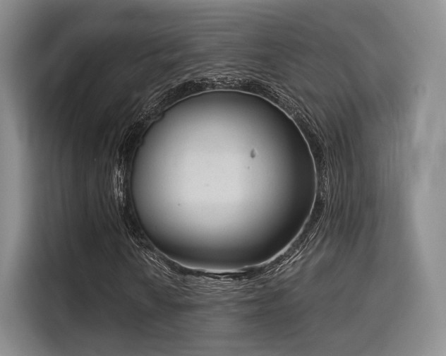 X0000115821010200911201440