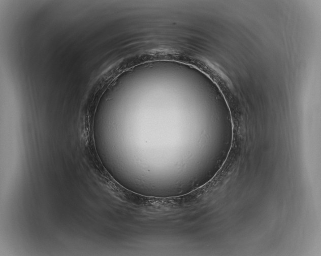 X0000115821015200911201441