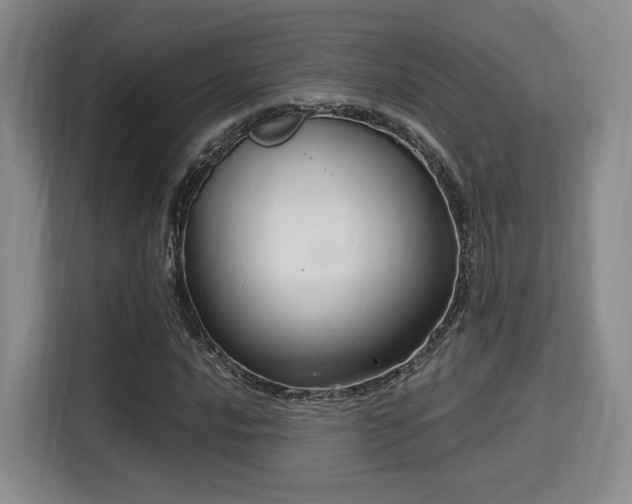 X0000115821016200911201441