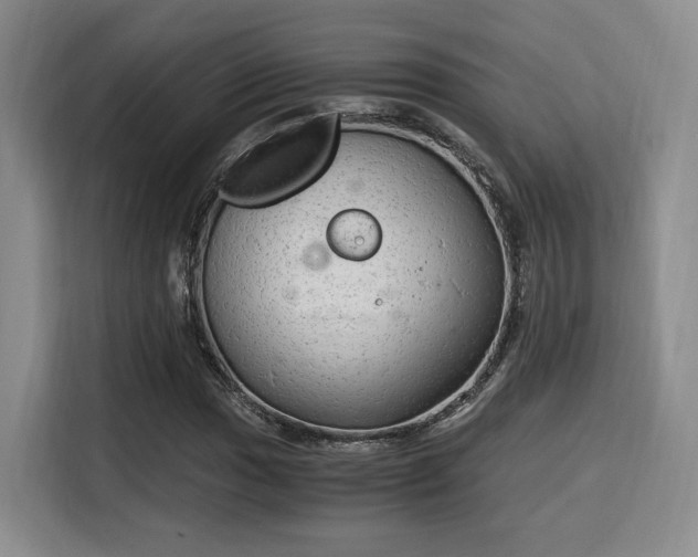 X0000115821017200911201441