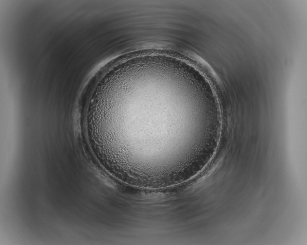 X0000115821019200911201441