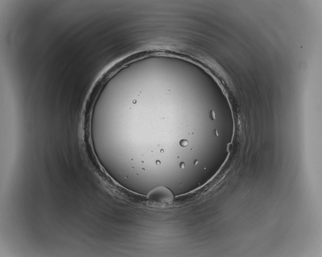 X0000115821020200911201441