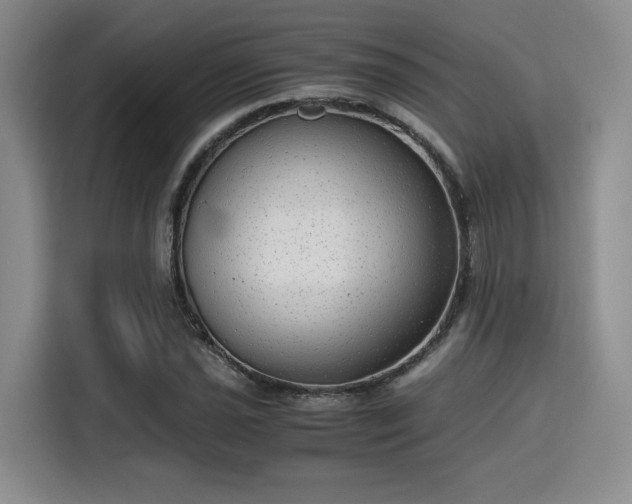 X0000115821021200911201441