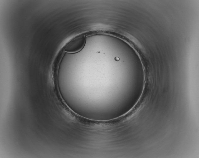 X0000115821022200911201441