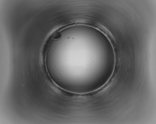 X0000115821027200911201441