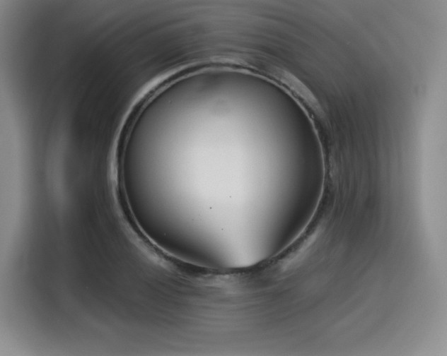 X0000115821028200911201441