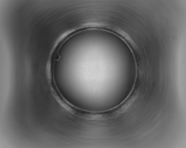 X0000115821030200911201441