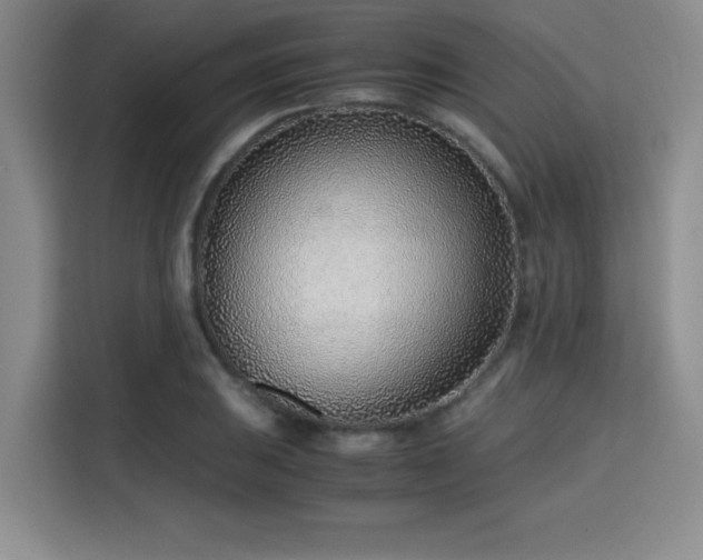 X0000115821031200911201441